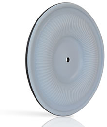 Garlock ONE-UP® diaphragms excel in sanitary applications that require clean certifications and long lasting materials.